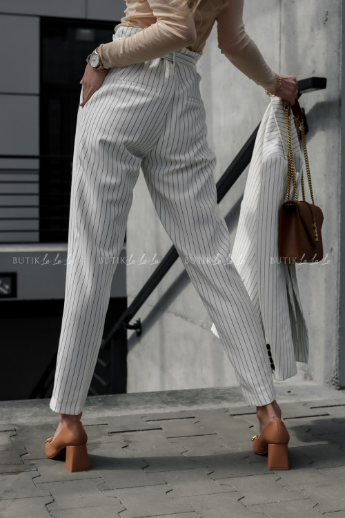Spodnie w paski Tessi 3